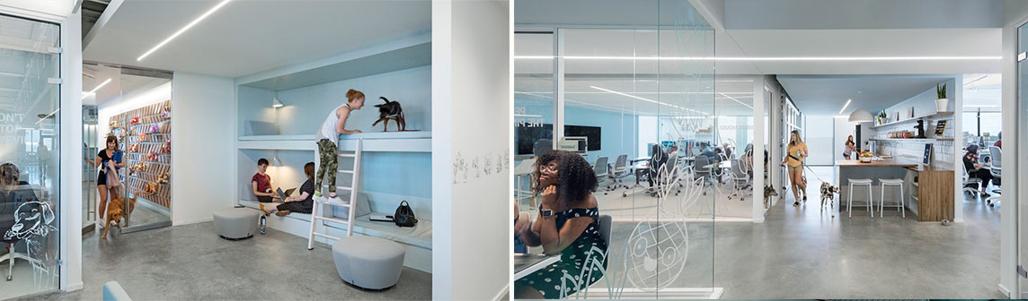 AG��������վ�ٷ���-AG��������վ������V6.61.88 ��׿������/IOS����