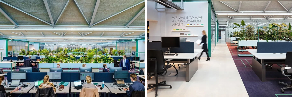 ¹ãÖݰ칫ÊÒ×°ÐÞÉè¼Æ